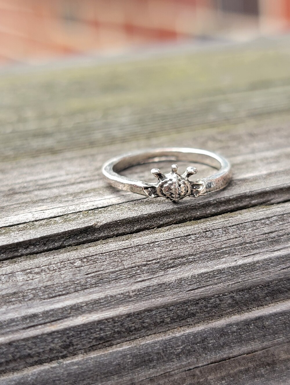 Size 5 Turtle Accent Ring